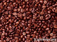 Export Arabica Coffee Beans | Arabica Coffee Bean Importer | Arabica Coffee Beans Buyer | Buy Arabica Coffee Beans | Arabica Coffee Bean Wholesaler | Arabica Coffee Bean Manufacturer | Best Arabica Coffee Bean Exporter | Low Price Arabica Coffee Beans | B