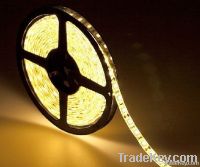 LED Strip Light (12V/24V)