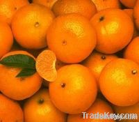 Mandarin