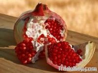 Pomegranate