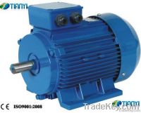 Electric Motor Three Phase Y2 