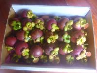 Mangosteen