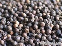 High quality black pepper