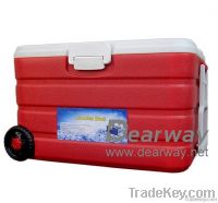 Cooler Box 40L