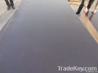 plywood with good quality and best price