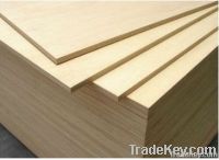 plywood with good quality and best price