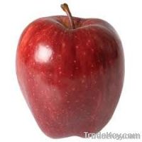 red apple