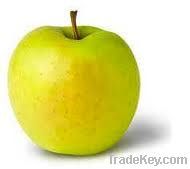 apples golden delicious