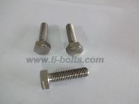 Titanium Hexagon Bolts