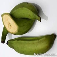 Plantain