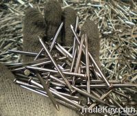 common wire nail iron nail price with good quality