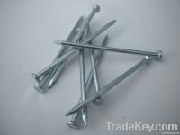 common wire nail iron nail price with good quality