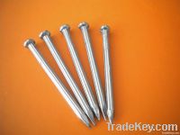 concrete steel nail with fluted shank (China factory)