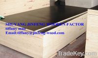 film faced plywood for building