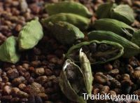 Cardamom