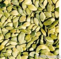 Pumpkin Seed