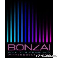 Bonzai Winter Boost 3g