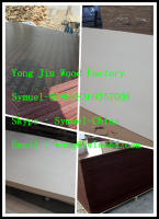 (6-30mm) black film faced/Fancy Plywood/Building Construction Materials