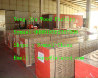 (2.5-30mm) bleaching poplar furniture grade LVB plywood sheet