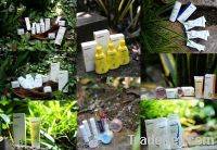 Paul Penders Botanical &amp; Certified Vegan Skincare and Cosmetics