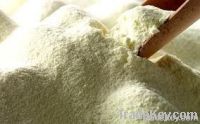 SKIMMED MILK POWDER ADPI EXTRA GRADE