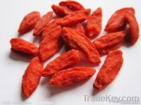 Wolfberry Extract powder