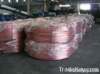 copper WIRE ROD