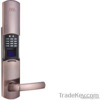 Fingerprint Locks