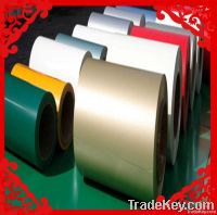 Color coated steel coil