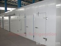 Meat and Fish Processing Cold Storage