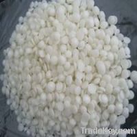 Fischer Tropsch Wax / Synthetic Paraffin Wax