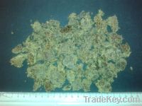 Cotton seed meal