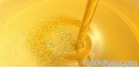 Quality refined sunflower oil edible oil