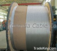 AACSR Conductor : ASTM B711 DIN 48206