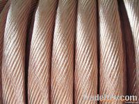 Catenary Wire/Bare Copper(alloy) Conductor