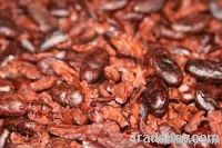 COCOA BEANS