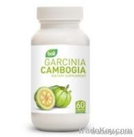 Garcinia Cambogia