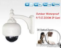 China Wireless Outdoor IP Camera