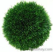 Boxwood ball