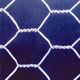 hexagonal wire mesh