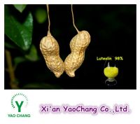 Luteolin  98%  HPLC -- Peanut Husk Extract Powder