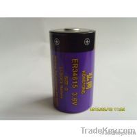 lithium battery ER34615 / output voltage 3.6V / battery capacity 19Ah