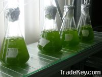 Research and Development