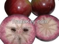 fresh star apple