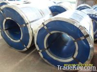 Galvanized Steel Coils