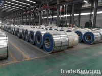 PPGI Steel Coils