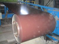 Prepainted Steel Coils