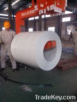 Color Coated Steel Coil