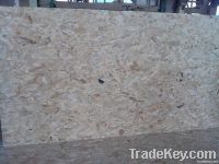 OSB board plywood