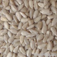 Good Bakery Sunflower Seed Kernels